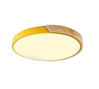 Modern LED Ceiling Light Cloakroom Round Mount LED Light Fixture Green Chandelier Ceiling Fixture Dimmable Ceiling Flush Mount For Kitchen Balcony