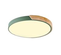 Modern LED Ceiling Light Cloakroom Round Mount LED Light Fixture Green Chandelier Ceiling Fixture Dimmable Ceiling Flush Mount For Kitchen Balcony