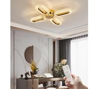 Modern LED Ceiling Lights Gold Large Chandelier for Living Room Brightness Dimmable Ceiling Lamp with Remote Easy to Install Flush Ceiling Lighting Fixture for Bedroom Dining Room (4Head 30W)