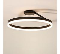 Modern LED Dimmable Ceiling Light with Remote Control, Nordic Designer Simple Single Circle Black Ceiling Lamp, Chandelier Lighting for Bedroom Living Room Kitchen