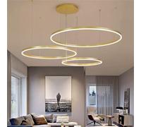 Modern LED Ring P Lights, Dimmable Living Room Ainum Chaner with Remote Control, Dining Room Ceiling Lights Metal Acrylic Hanging Lamp, 40+60+80+100CM, Black (d 60+80+100CM)