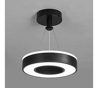 Modern LED Ring Pendant Light, Metal Hanging Lights with Acrylic Cover Suspension Lamp, Simple Corridor Decorative Lighting, Creative Round Panel Drop Lighting Fixtures