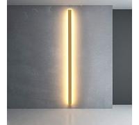 Modern LED Wall Sconce 80CM 24W Minimalist Golden Acrylic & Metal Indoor Light Fixture for Bedroom Living Room Hallway - 6000K White Illumination Stylish Wall Decor
