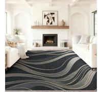 Modern Luxury Washable Rug 80 x 150 cm, Short Pile Non-slip Area Rug Soft Lightweight Non-Shedding, Art Metal Curve Wave Line Design, Black Great for Living Room Bedroom Office