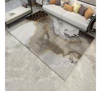 Modern Machine Washable Area Rugs,Graphene Electric Heated Rug,Indoor Floor Heater,Heated Foot Warmer with Timer,Abstract Area Rug,Under Table Rug for Bedroom, Dining Room(D,80x120cm)