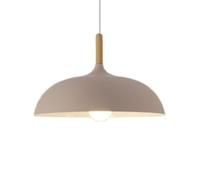 Modern Matte Green Pendant Light Macaron Color Chandelier for Kitchen Bar Cafe Rustic Industrial Hanging Lamp with Metal & Wood Fittings Stylish Ceiling Fixture