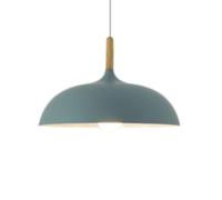 Modern Matte Green Pendant Light Macaron Color Chandelier Metal & Wood Ceiling Hanging Lamp for Kitchen Bar Restaurant Cafe Rustic Industrial Design