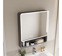 Modern Medicine Cabinet with Lights 23.6" Wall Mirror Storage Shelf Anti-Fog Bathroom Vanity Mirror with Open Storage Grey Hanging Cabinet for Stylish Bathrooms