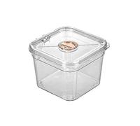 Modern Mini Transparent Acrylic Fish Tank with Lid Square Small Fish Tank, 15x15x11.5cm Desktop Display