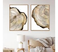 Modern Minimalist Canvas Wall Art Tree Rings Print Tree Stump Canvas Brown And White Pictures Tree Stump Prints Minimalist Abstract Art Poster Tree Ring Artwork Tree Ring Painting 16x24inchx2 No Frame
