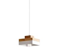 Modern Minimalist Metal Woodwork Pendant Lamp with E27 Screw Base, Single-Head Chaner for Ceiling Lighting, Ideal for Living Room, Bedroom, and Corridor Decoration