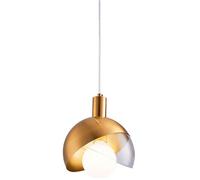 Modern Minimalist Rose-Shaped Desk Pendant Light | Metal and Glass Hanging Light | Bedroom, Tea Room, and Living Room Decorative Lighting | Display Cabinet and Reception Desk Lighting