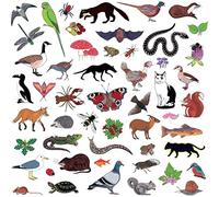 Modern Nature - Island Of Noise