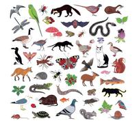 Modern Nature - Island Of Noise [VINYL]