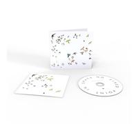 Modern Nature : No Fixed Point in Space CD (2023) NEW Fast and FREE P & P
