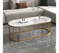 Modern Oval Coffee Table with Storage ShelfSintered Stone Top & Metal FrameStylish Living Room Office Cafe Bar Sofa TableEasy Assembly Durable Design