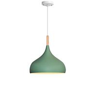 Modern Pendant Light Fixture Hollow Small Hanging Lamp Wooden Art Metal Lampshades Height Adjustable Ceiling Lights for Kitchen Island Bar Restaurant Living Room (Green 32cm)