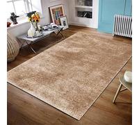 Modern Plush Soft Shaggy Area Rug - Living Room Carpet & Easy to Clean - Perfect for Bedroom Lounge Office Décor Floor Mats Door Mats (Beige, 200 x 290 cm (6.56 ft x 9.51 ft))