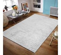 Modern Plush Soft Shaggy Area Rug - Living Room Carpet & Easy to Clean - Perfect for Bedroom Lounge Office Décor Floor Mats Door Mats (White, 120 x 170 cm (3.94 ft x 5.58 ft))