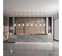 Modern Reception Desk with Smart Dimmable LED Lighting & Marble Front, No Assembly Office Counter with Locking Storage for Retail, Salon, Business,A,150x60x100cm