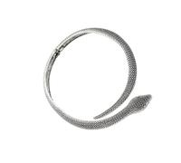 Modern Retro Snake Necklace Clavicle Chain Neck Accessories For Elegant Outfits Distinctive Styles Neckchain Accessory Elegant Women's Accessories