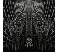 MODERN RITES: MONUMENTS - LP vinyl BRAND NEW