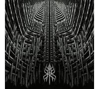 MODERN RITES - MONUMENTS - Vinyl Record - G3z