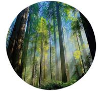 Modern Round Rug 100cm for Living Room, Olive Green Washable Soft Circle Bedroom Rug, Beautiful Forest Leaves Printed Indoor Circular Carpet for Office Dining Room Under Table