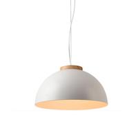 Modern Simple LED Pendant Light Nordic Iron Lampshade Chandelier for Dining Room Kitchen Living Room Bedroom Stylish 40cm Hanging Light Fixture