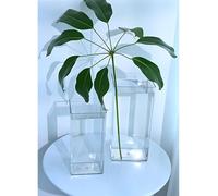 Modern Simplicity, 2pcs Set Shatterproof Flower Vases, Plastic Vase - Clear | Vase for fresh artificial flowers hydroponic plants living room, perfect for home with children or pets - 20cm 25cm tall