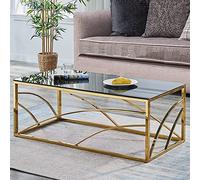 Modern Stainless Steel Rectangular Coffee Table for Living Room 120CM Glass Tea Table with Black Grey Tempered Glass Top (Gold)