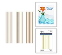 Spellbinders Modern Stripes Glimmer Hot Foil Plate from The Photosynthesis Collection by Simon Hurley, Metal, ONE