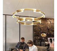 Modern Style lamp Master Bedroom Study Ceiling lamp Gold LED lamp Living Room Household lamp (Color : 1ring 80cm, Size : Warm White) (Color : 1ring 80cm, Size : W