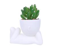 Modern Style Succulent Potted Ceramic Flowerpot Ideal for Home Gardening and Desk Decoration (A, One Size)