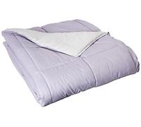 Modern Threads Amrapur Overseas Down Alternative Microfiber Quilted Reversible Comforter & Duvet Insert - Soft, Comfortable Alternative To Goose Down - Bedding For All Seasons Amethyst/Silver King