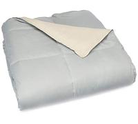 Modern Threads Down Alternative Microfiber Quilted Reversible Comforter & Duvet Insert - Soft, Comfortable Alternative To Goose Down - Bedding For All Seasons Seafoam/Almond Twin