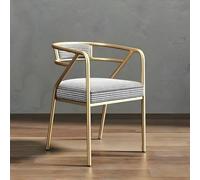 Modern Upholstered Armchair for Dining Restaurant Coffee Shop & Waiting Room Stylish Side Reception Chair with Cushion (Color 5 1 Piece)