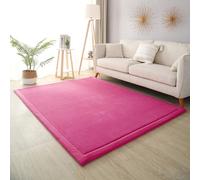 Modern Washable Area Rug 100x150cm Soft Non Slip Carpet for Kids Nursery & Living Room Cozy Floor Mat for Boys & Girls 2cm Thick Home Decor
