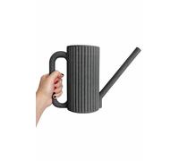 Modern Watering Can for Indoor Plants - Ribbed Minimalist Design with Long Precision Spout - Perfect for Houseplants, Succulents & Small Pots - 1L (Grey)
