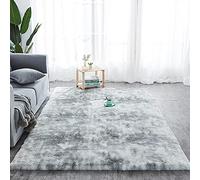 Modern White Grey Silver Pink Fluffy Area Rug Carpets Extra Large Medium Small Living Room Bedroom Shaggy Rugs Home Decor Super Soft Kids Room Floor Mats Hallway Runner (120 X 170 CM, SILVER)