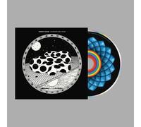 Modest Mouse An Eraser and a Maze (CD) Album