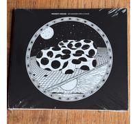 Modest Mouse - An Eraser And A Maze