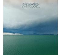 Modest Mouse - Fruit That Ate Itself [New Vinyl LP]