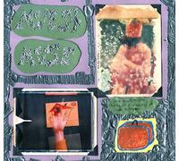 Modest Mouse - Sad Sappy Sucker