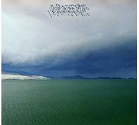 Modest Mouse - The Fruit That Ate Itself [CD]