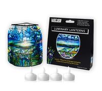MODGY Luminary Lanterns Floating LED Candles with Batteries Included - Luminaries are Great for Weddings, Parties, Patios & Celebrations of All Kinds (Iris), Pack of 4