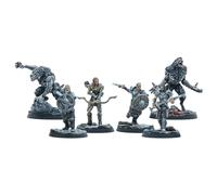 Modiphius Entertainment: The Elder Scrolls: Call to Arms - Companions - 6 Figures, Unpainted Resin Miniatures, Tabletop Miniatures Game, Licensed