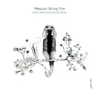 Modular String Trio - Ants Bees and Butterflies