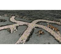 Battle Systems - Modular Fantasy Scenery - Perfect for Roleplaying and Wargames - Multi Level Tabletop Terrain for 28mm Miniatures - Colour Printed Model Diorama - DnD Warhammer (Roads and Rivers)