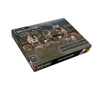 Fantasy Battle Systems Figure Wargames Terrain Village Ruins - Multi Level Tabletop War Game - 28mm Miniature Wargaming Roleplaying - 163 Pieces